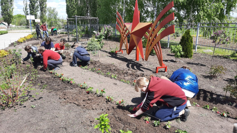 Жители Вейделевского района активно принимают участие во Всероссийской акции «Сад памяти».
