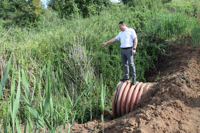 Приняты меры по сохранению пруда в хуторе Родники Вейделевского района.
