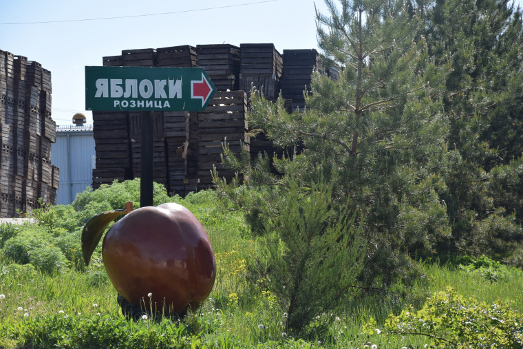 Фруктовый сад - один из проектов семейного бизнеса Снаговских.
